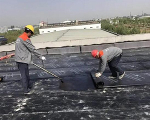 SBS防水卷材